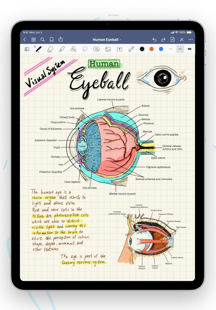 An image on techbydavey.com for a list of apple pencil apps. #2 on the list is Good Notes 5