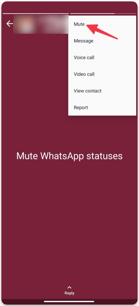 An image on techbydavey.com showing how to mute Whatsapp statuses